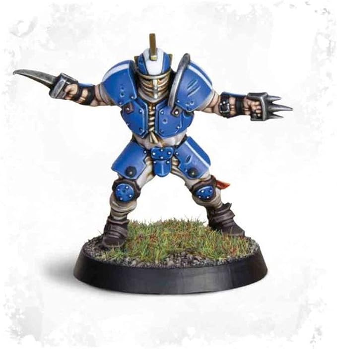 Games Workshop 99120902001 The Reikland Reavers Blood Bowl Team