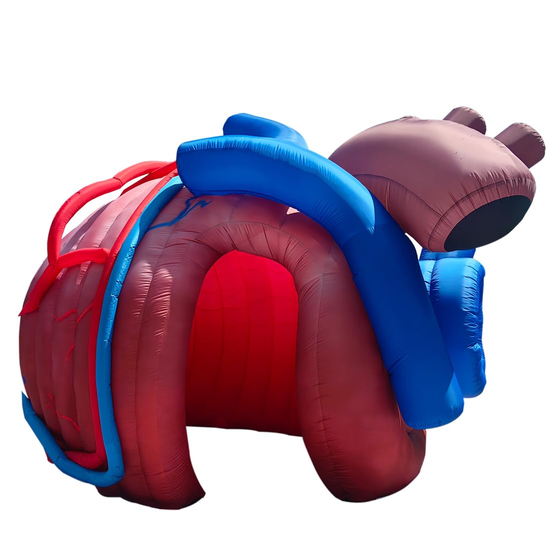Outdoor Inflatable Human Heart Model Replica Tent, 13ftx10fx9ft Heart Inflatable Medical Exhibit with Blower, for Halloween, Educational Medical Exhibit