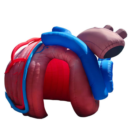 Outdoor Inflatable Human Heart Model Replica Tent, 13ftx10fx9ft Heart Inflatable Medical Exhibit with Blower, for Halloween, Educational Medical Exhibit