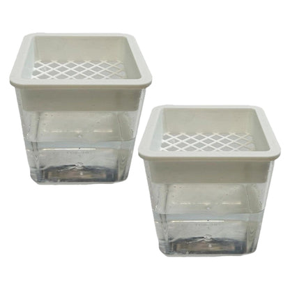Plant Pot - Transparent Plant Containers - Hydroponic Containers - for Semi-Hydro Cuttings Seedlings African Violets Balcony Desk Garden Porch Windowsill Bedroom Living Room Yard