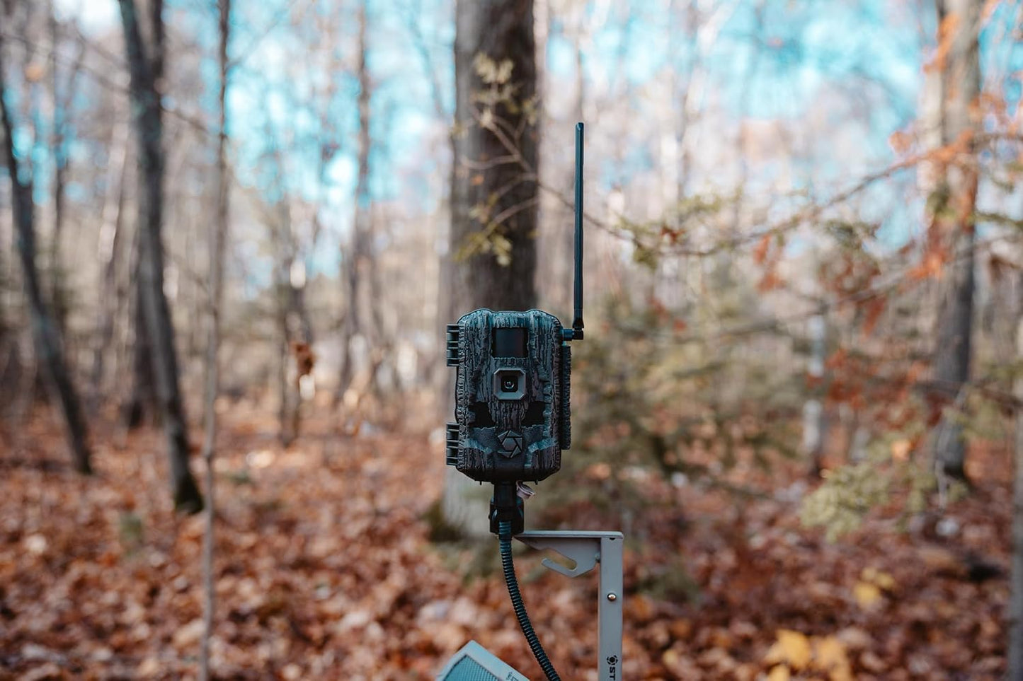 Stealth Cam Fusion Max 2.0 Cellular Trail Camera – 36MP Photo, 1080P Video, AT&T/Verizon Compatible, Motion Activated w/Night Vision – Hunting & Wildlife Surveillance Camera + Solar Panel (1PK)