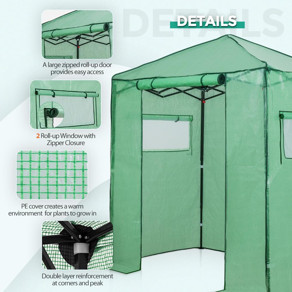 EAGLE PEAK 6x4 Portable Walk in Greenhouse, Pop Up Indoor Outdoor Greenhouse, Green House Kit with Zippered Roll-Up Doors and Windows, PE Cover, Clear/Green