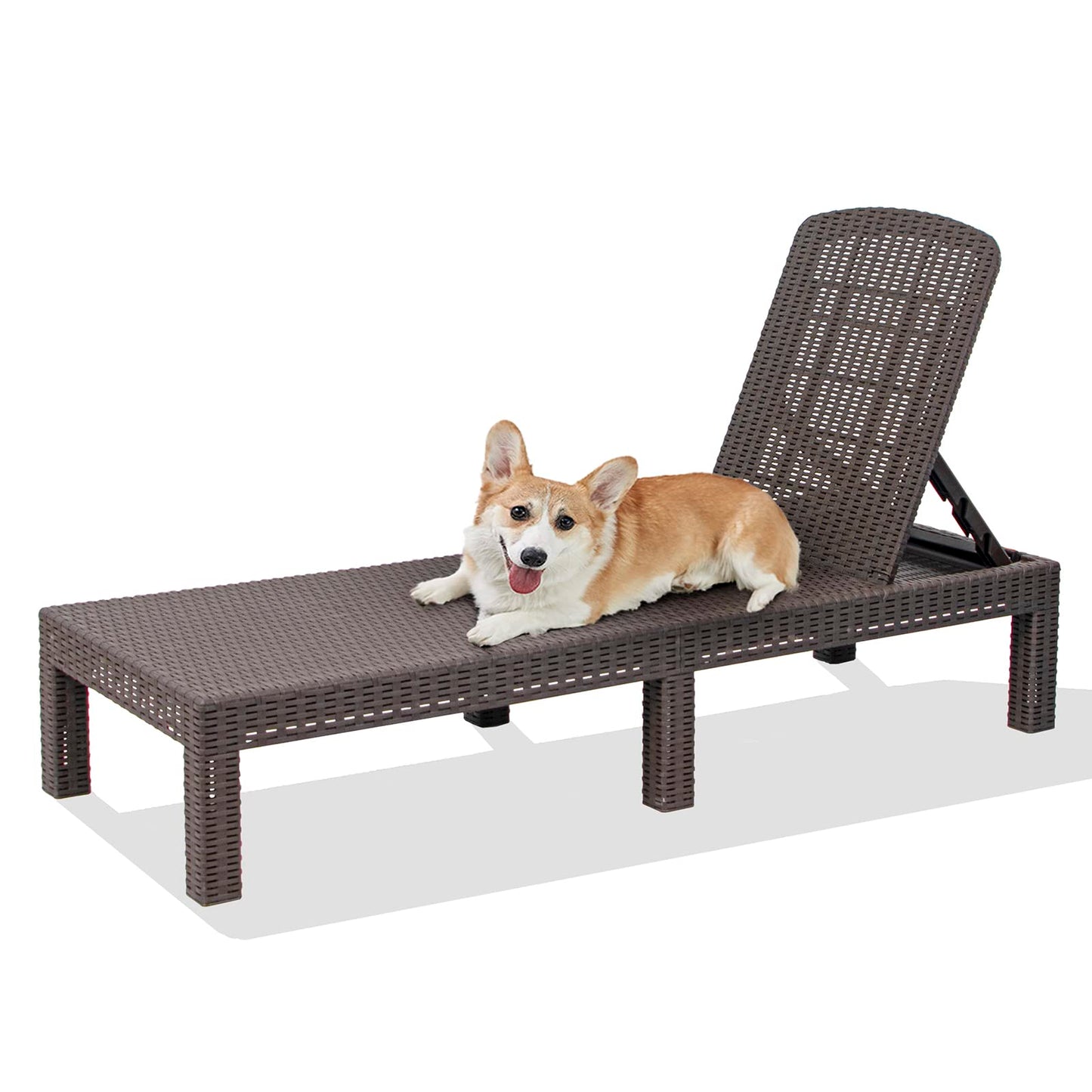 DIMAR GARDEN Beach Chairs Outdoor Chaise Lounge,Resin Pool Lounge Chair Waterproof Recliner,Mocha