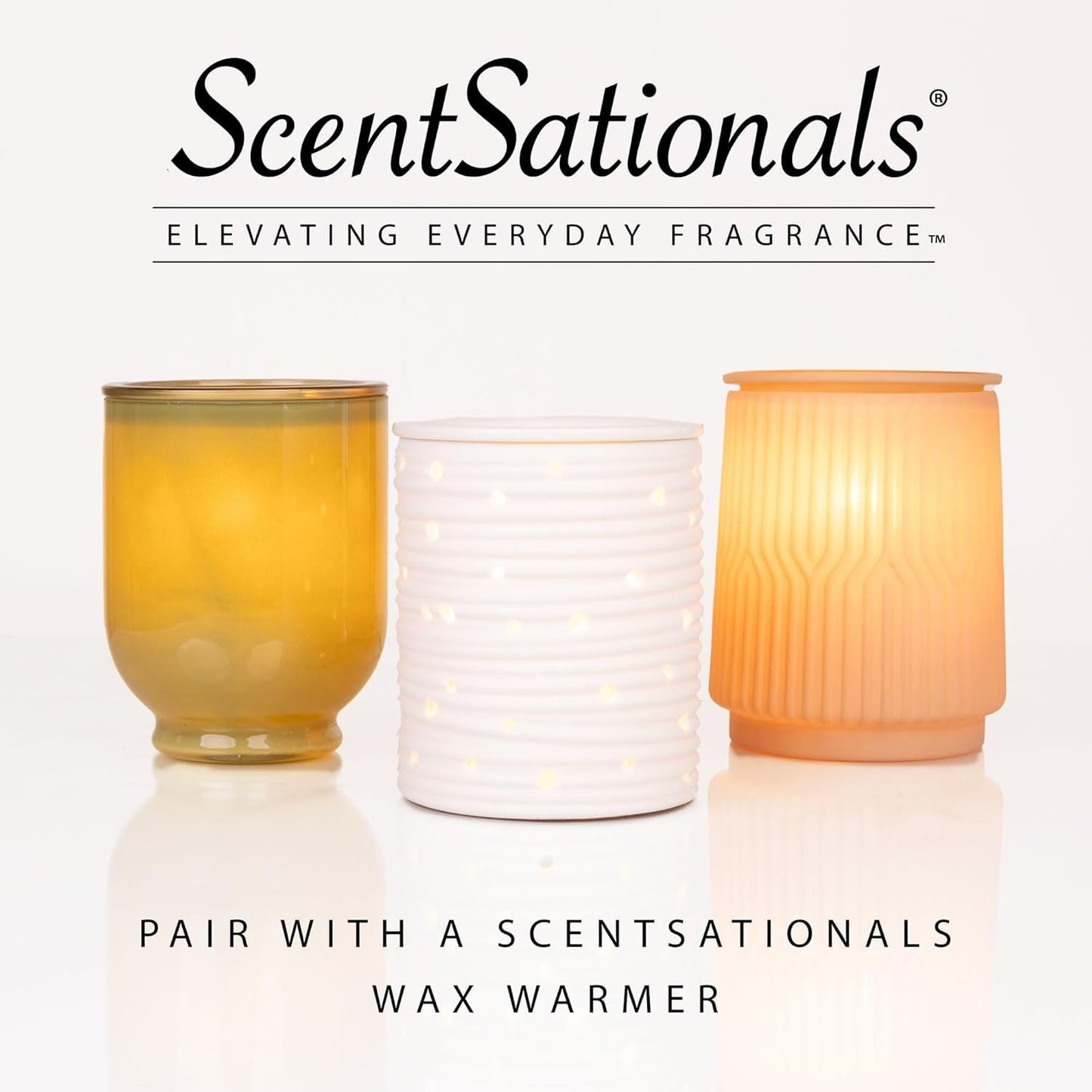 Scentsationals Eucalyptus Snow Scented Wax Melts - Eucalyptus, Vanilla, & Balsam, 10oz (24 Cubes)