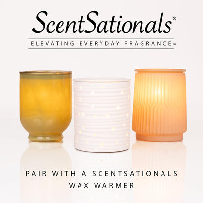 Scentsationals Eucalyptus Snow Scented Wax Melts - Eucalyptus, Vanilla, & Balsam, 10oz (24 Cubes)