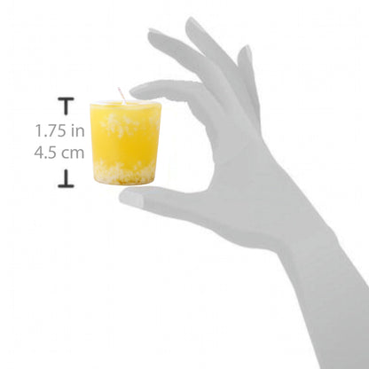 Aroma Naturals Ambiance 6 Count Votive Candles