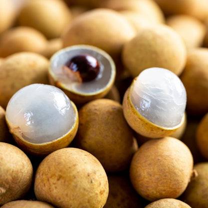 Longan Tree Live Plant, Longan Plant, Well Rooted, 2-3 Feet Tall, Edible Tropical Fruit Plant for Outdoor Planting, No Ship to CA