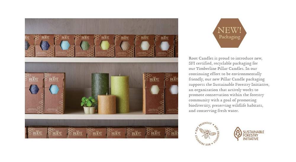 Root Candles Unscented Candles Premium Beeswax Blend Pillar Candle, 3 x 9-Inch, Butterscotch