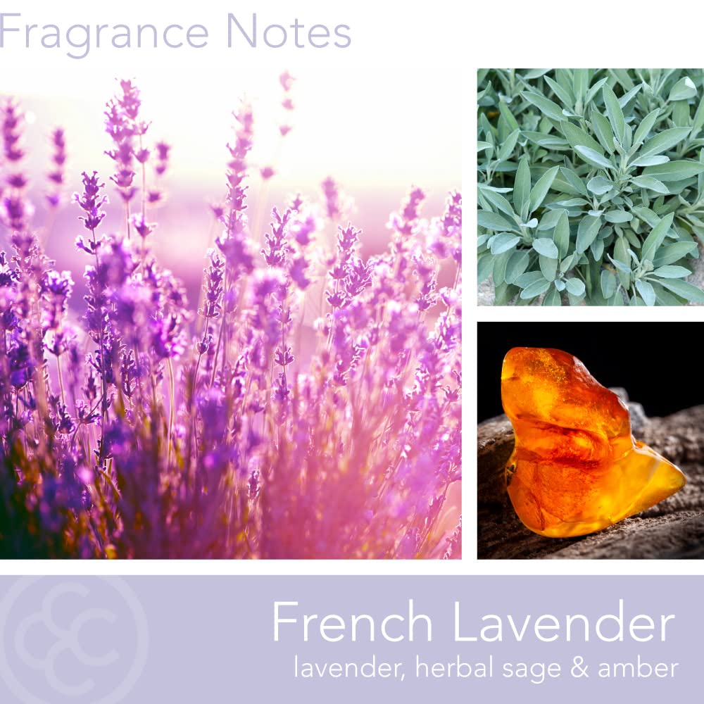 Colonial Candle French Lavender Scented Jar Candle, Classic Cylinders Collection, 2 Wick, Purple, 11 oz - Up to 80 Hours Burn