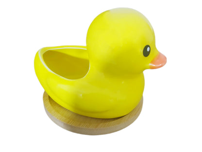 SJBAG Cute Indoor Cartoon Animal Duck Shaped Ceramic Succulent Cactus Flower Plant Pots Planter with Drainage Hole - Plant Not Included (Small)