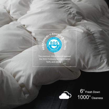 Royoliving Luxurious Down Duvet Insert Feather Queen Size All Season White 100% Organic Cotton Cover Full Szie Down with Corner Tabs (90x90, 50 oz)
