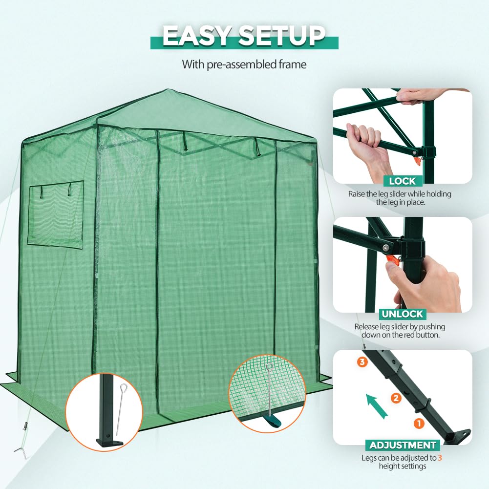 EAGLE PEAK 6x4 Portable Walk in Greenhouse, Pop Up Indoor Outdoor Greenhouse, Green House Kit with Zippered Roll-Up Doors and Windows, PE Cover, Clear/Green