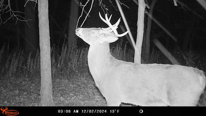 Wildgame Innovations WGI Insite-V 4-Pack Cellular Trail Camera 32 MP, 80ft Detection
