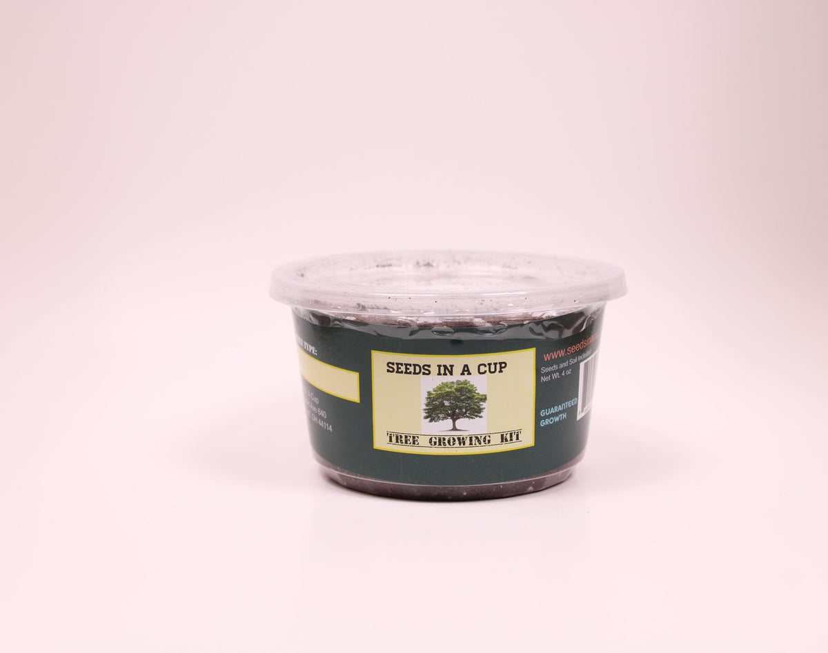 Seeds In A Cup: Plum Tree Grow Kit | Easy to use | Educational | Great Gift Idea | Help Planet | (Plastic Planter)