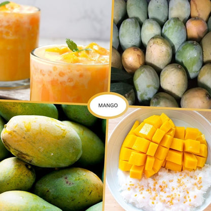 Ice Cream Mango Tree Live Plant, 2-3 Gallon Pot, Mango Plants Live, Grafted Dwarf Tropical Fruit Tree for Patio & Garden