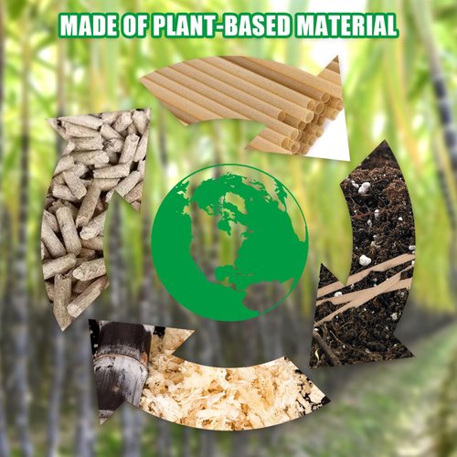 HANSGO Sugarcane Straws, 200PCS Drink Straws Disposable for Hot Cold Drinks, Coffee, Cocktail, Juice Home Favor, The Beach Party, Natural Brown