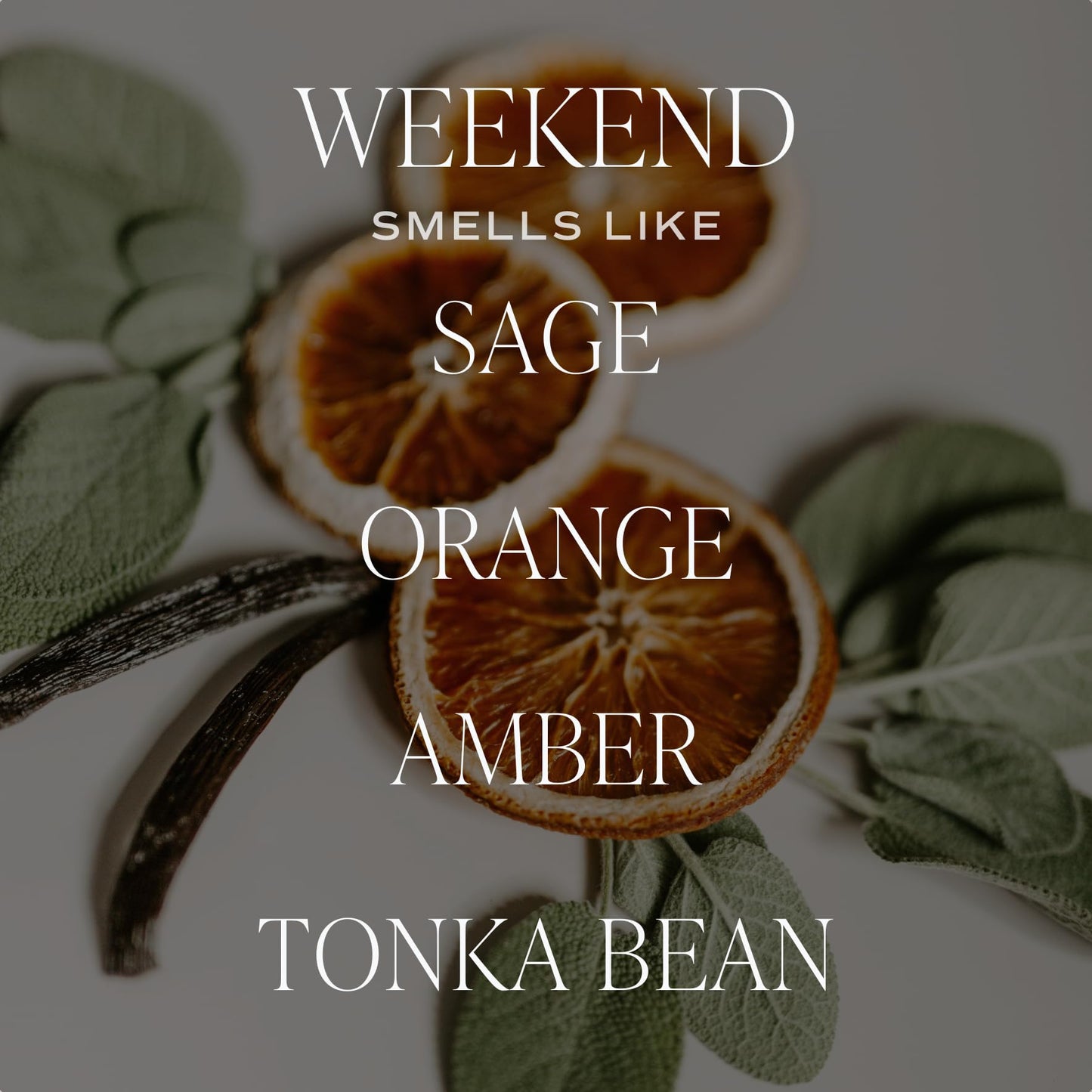 Sweet Water Decor Weekend Candle - Soy Citrus, Grapefruit, Sage, Amber, and Oakmoss Scented Earthy Candles for Home - 9oz Clear Jar with Gold Lid, 40+ Hour Burn Time, Made in The USA