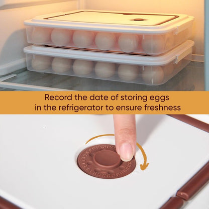 77L Deviled Egg Containers with Lid (Set of 2), Plastic Deviled Egg Tray Carrier with Handle for 48 Eggs, Clear Storage Egg Platter for Deviled Eggs, Easter Party Fridge Stackable Portable Egg Holder