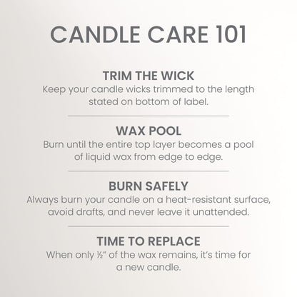 Yankee Candle Studio Scented Candle with up to 50 Hour Burn Time, Premium Plant Wax Blend for Consistent Burn, 10 oz Jar Candle with Room Filling Fragrance, Coconut Beach (Pack of 1)
