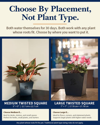 POSIE3DPRINTS Posie Pot Medium Twisted Square - Self Watering Planter 5x5 Inch - Indoor Plant Pot with 30 Day Reservoir - 3D Printed Bioplastic - No Guilt Plant Care - Made in USA, Black
