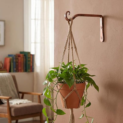 Feed Garden 10-Inch Decorative Hanging Plant Brackets - 2 Pack for Outdoor Use, Antique Bronze Finish