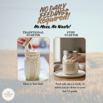 Einkorn Dehydrated Italian Sourdough Starter | Naturally Lower Gluten Structure | Made from Organic Heirloom Einkorn Flour From Italy| The Sourdough Source | Easy to Follow Instructions |Double Batch 2 Servings | Low-Maintenance| Make Artisan Sourdough Br