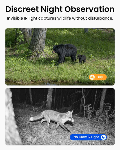REOLINK 4K Dual Lens 4G Cellular Trail Camera, Auto Tracking Security Camera Wireless Outdoor, 6X Hybrid Zoom, SIM Card Included, IP66 Waterproof for Wildlife, TrackMix LTE Trail