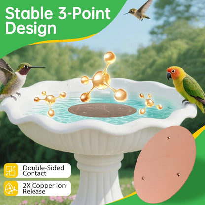 Skiennix Bird Bath Copper Discs - 99.9% Pure Copper Cleaner with Reinforced Design | Universal Fit for All-Season Use