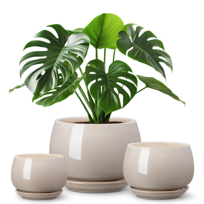 vancasso 3-Pack Ceramic Plant Pots, 3.7/4.8/6.2 Inch Indoor Planters with Saucers & Drainage Hole Planter pots for Indoor Plants and Flower, Gray