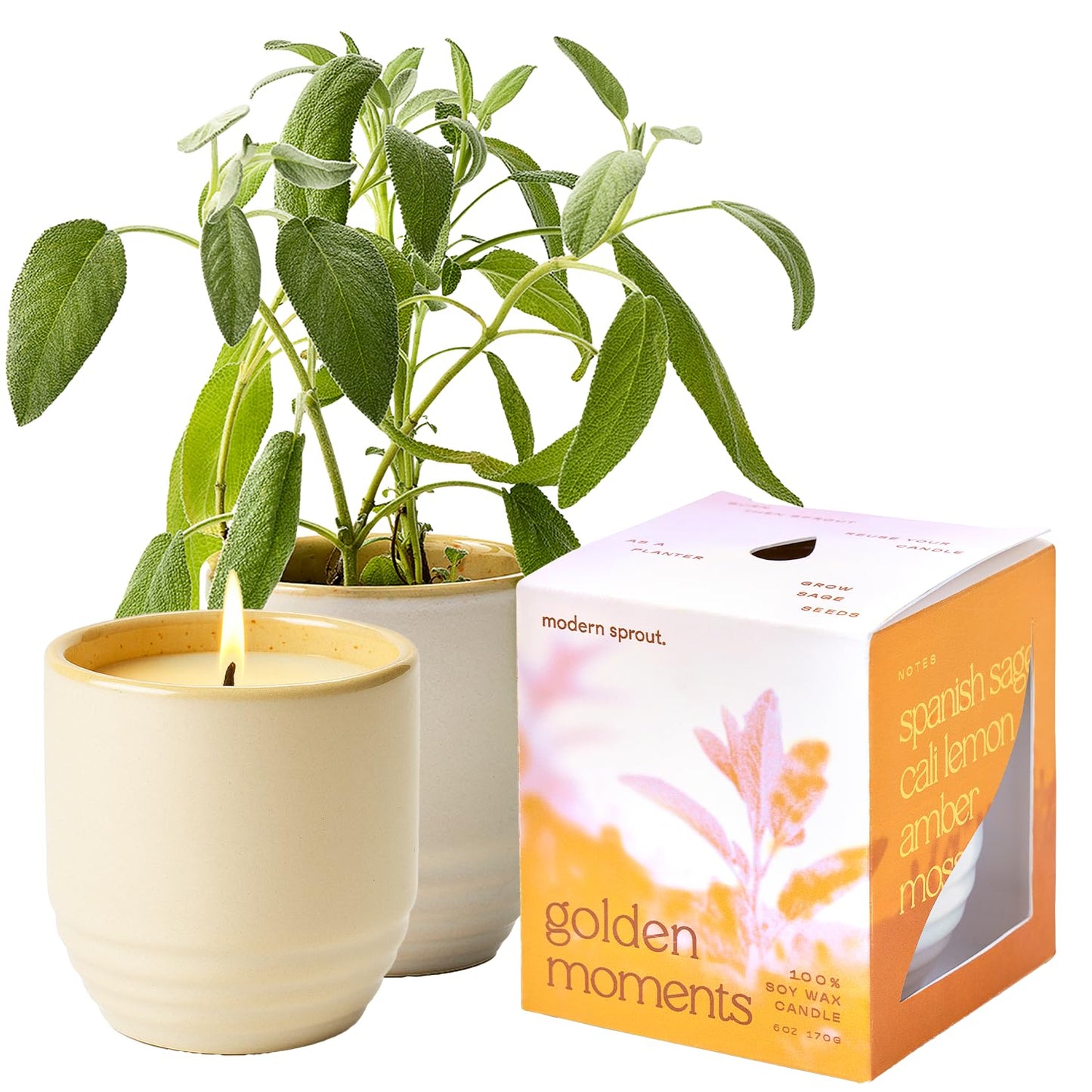Modern Sprout - 2-in-1 Soy Candle & Planter - Golden Moments (Cali Lemon, Amber, Moss) 6 Oz Scented Candle with Sage Seeds - Dual Purpose Jar - 38-40 Hour Burn – Perfect Plant Lovers Gift