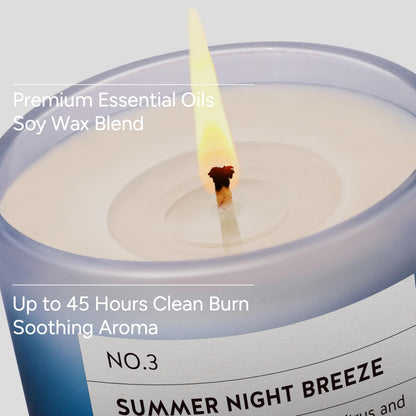 LUMELOOM Summer Night Breeze Scented Candle, 11oz Aromatherapy Soy Wax Candles for Home Scented, Fruits, Flower, Wood Scent, Long Burning Time, Gifts for Women, Men, Friend, Relaxation & Stress Relief