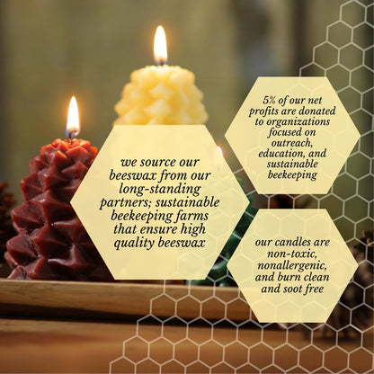 Big Dipper Wax Works Medium Pinecone Candle – Chestnut, Handcrafted 100% Pure Beeswax, 20-Hour Clean Burn, Unscented Eco-Friendly Winter & Holiday Décor, 4” x 3” Sculpted Candle