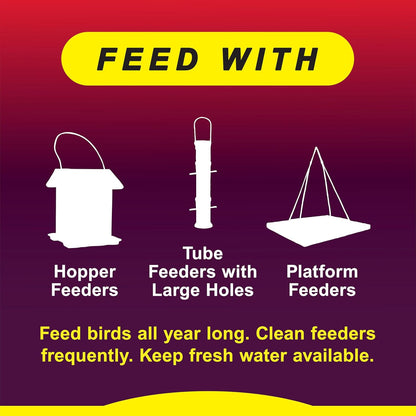 Wild Delight Wild Bird Food - Advanced Formula for Zero Waste Feeding | 5lbs