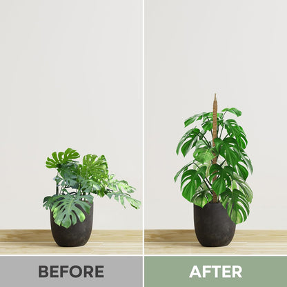 K-Brands 3 Pack Bendable Moss Pole - 48'' & 28'' Monstera Plant Support for Indoor Climbing Plants