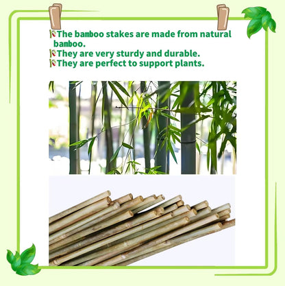 Bamboo Stakes - Eco-Friendly Plant Support Poles for Tomatoes, Beans & Flowers | 50-Pack, 4.8FT Height