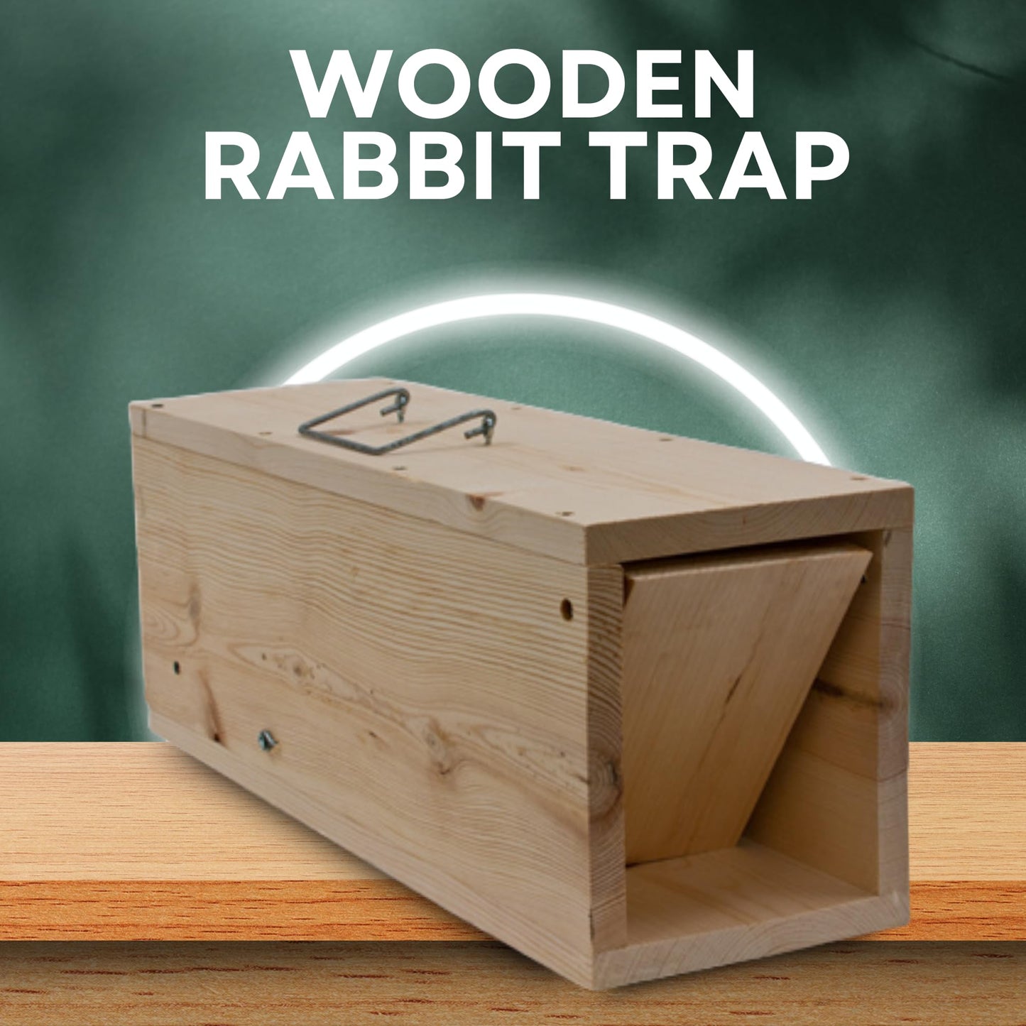 WCS Wooden Rabbit Trap, 24" Humane Live Capture Box Trap for Rabbits & Skunks – Wire-Shy Rabbit Solution, Professional-Grade 3/4" Pine Construction
