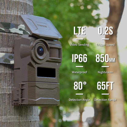 WingHome Upgraded 4G Cellular Trail Camera with UHD Quality Video, 0.2s Trigger, 32GB in-Built & SIM Card, IP66 Waterproof, No Glow Night Vision, for Hunting, Deer Camera (2)