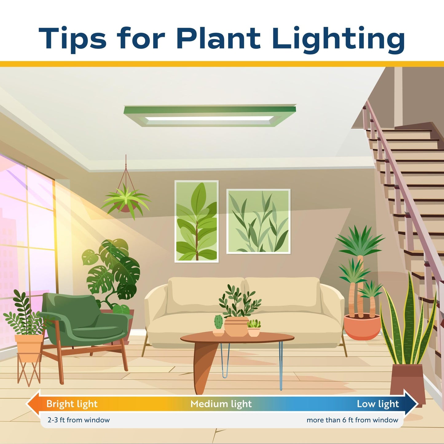 Costa Farms Fiddle Leaf Fig Tree, Ficus Lyrata Live Indoor Floor Houseplant in Decor Planter, Tropical Plant for Home Potted in Soil, Home and Office Decor, Housewarming Gift, 3-4 Feet Tall