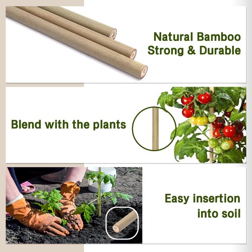 BOVITRO 12-Inch Natural Bamboo Plant Support Stakes - 20 Pcs for Tomatoes, Beans & Potted Plants
