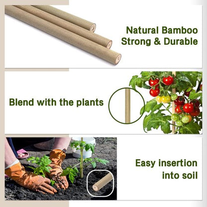BOVITRO 12-Inch Natural Bamboo Plant Support Stakes - 20 Pcs for Tomatoes, Beans & Potted Plants