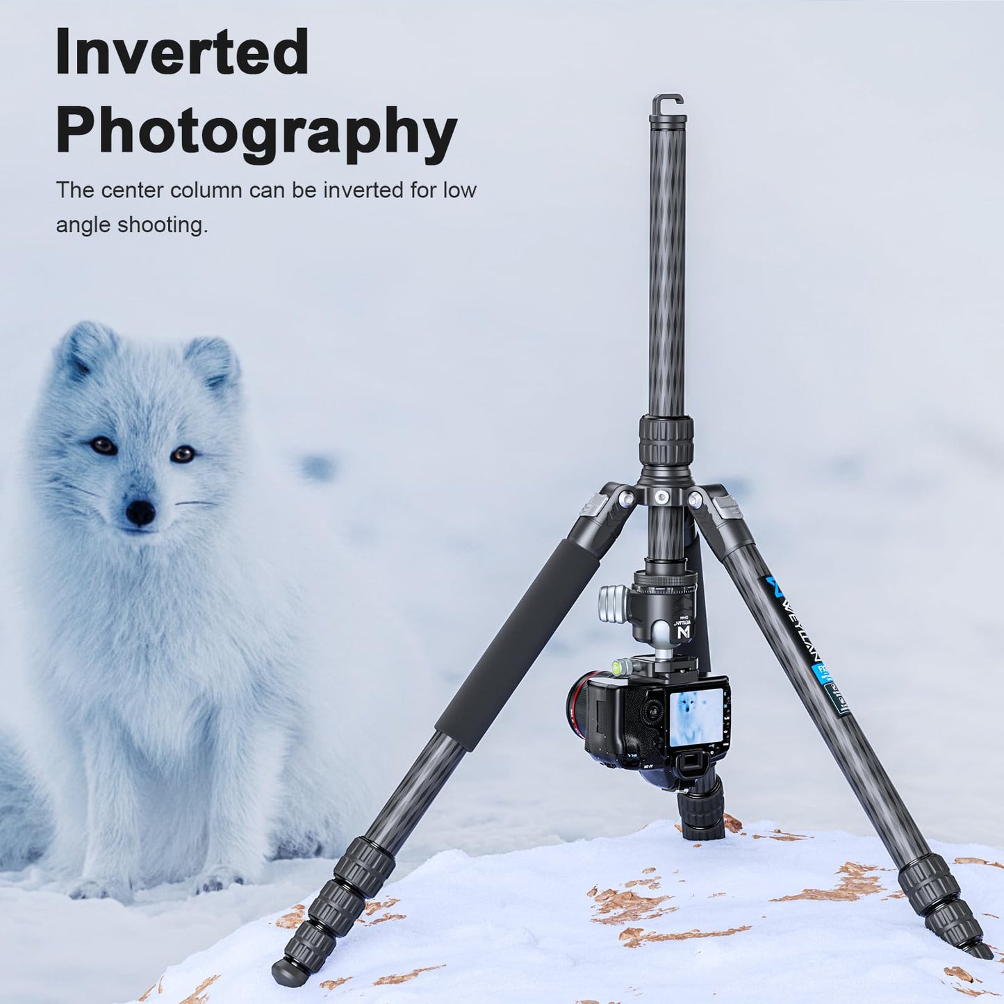 72.6'' Carbon Fiber Tripod Camera Monopod WEYLLAN Heavy Duty Tripod for Camera, 32.5mm Tube, Professional Camera Tripod with 44mm Arca Low Profile Ball Head, DSLR Stand for Telescope, Camcorder