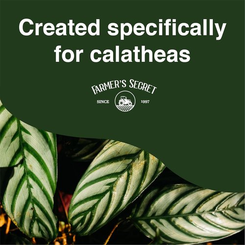 Farmer's Secret Calathea Liquid Plant Food - Super Concentrated 6:5:3 Fertilizer for Growth | 8oz