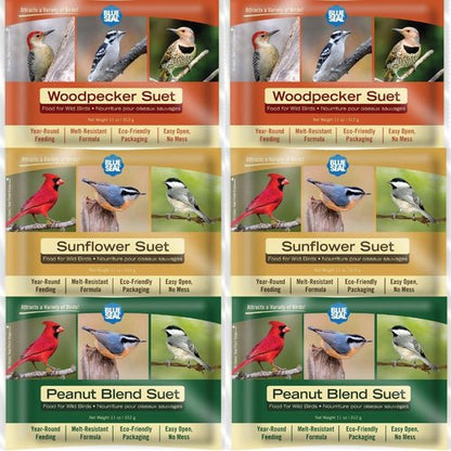 Blue Seal Nut Feast Suet Cakes for Wild Birds - No Mess Suet Feed with Nut Variety | 11oz (6 Pack)