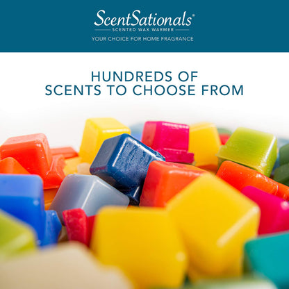 ScentSationals Tropical Fiesta Scented Wax Melts - Pineapple, Berries, & Kiwi, 10oz (24 Cubes)