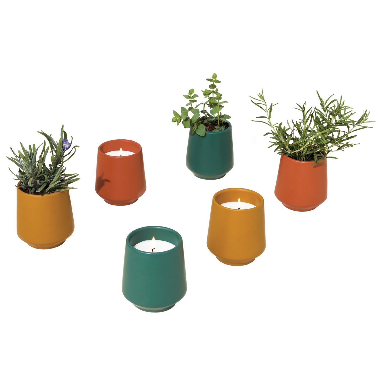 Modern Sprout - 2 in 1 Scented Candles with Seeds that Grows into Plants - 6 oz Soy Candle with 42 hr Burn time in Matte Glaze Ceramic Vessel - Rosemary, Thyme, & Lavender - Pack of 3