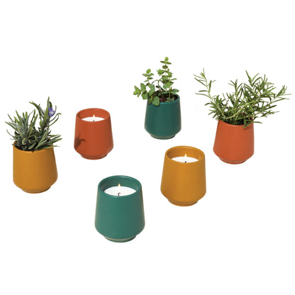 Modern Sprout - 2 in 1 Scented Candles with Seeds that Grows into Plants - 6 oz Soy Candle with 42 hr Burn time in Matte Glaze Ceramic Vessel - Rosemary, Thyme, & Lavender - Pack of 3