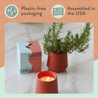 Modern Sprout - 2 in 1 Cucumber Scented & Soy Candle with Seeds that Grows into Rosemary Plant - 6 oz w/ 42 Hr Burn Time in Matte Glaze Ceramic Vessel Ideal for Indoor Herb Garden
