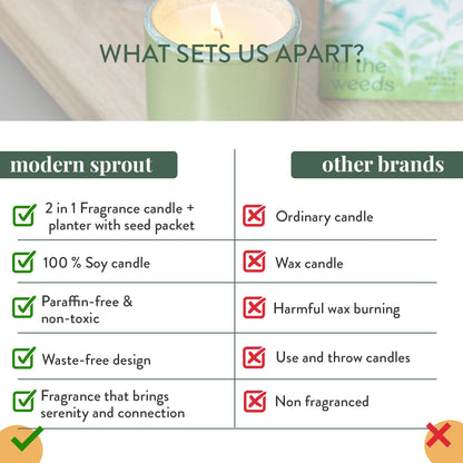 Modern Sprout - 2-in-1 Soy Candle & Planter - in The Weeds (Eucalyptus, Pink Pepper, Patchouli, Citrus) 6 Oz Scented Candle w/Mint Seeds - Ceramic Vessel Dual Purpose Jar - 38-40 Hour Burn