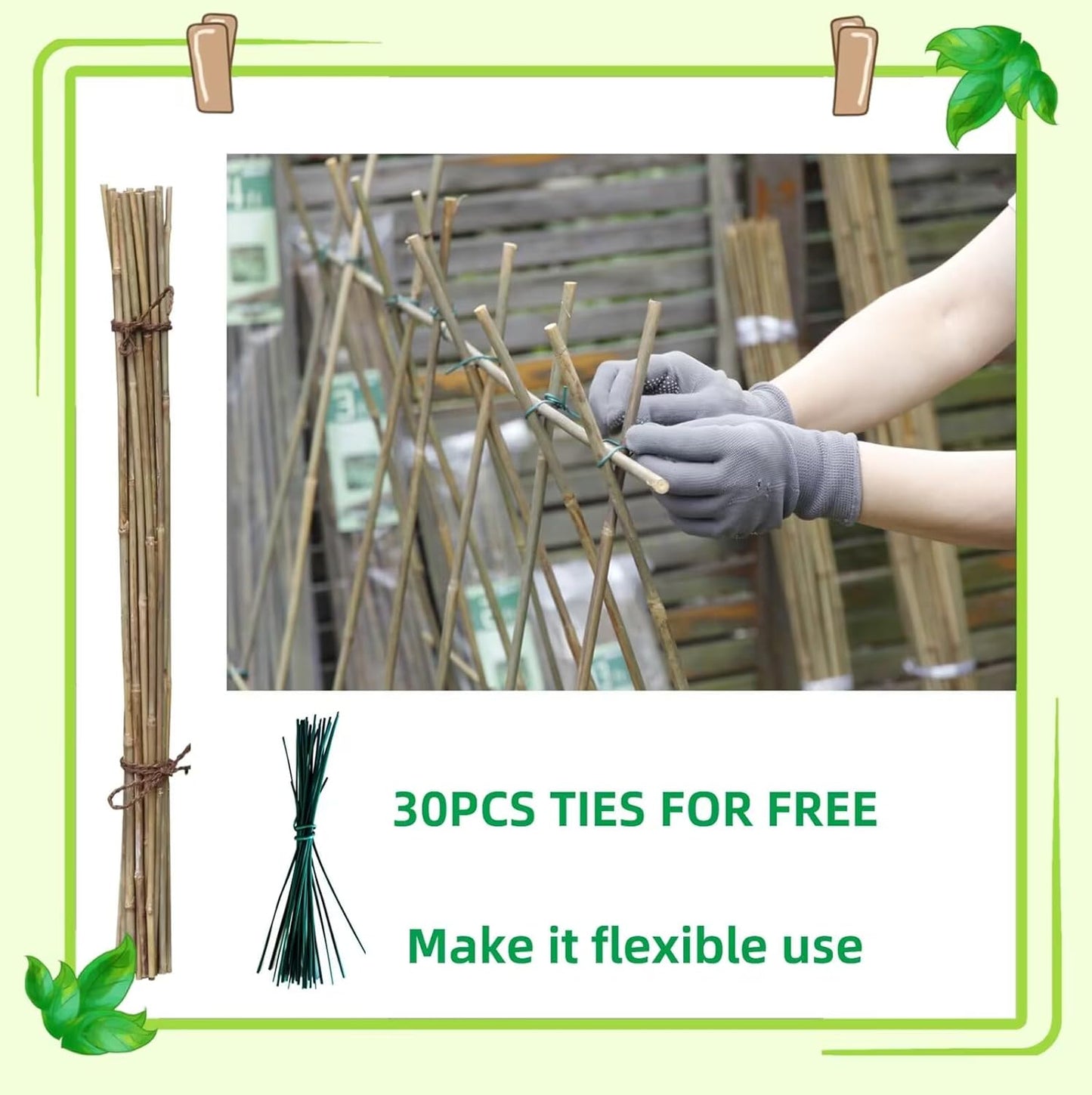 Bamboo Stakes - Eco-Friendly Plant Support Poles for Tomatoes, Beans & Flowers | 50-Pack, 4.8FT Height