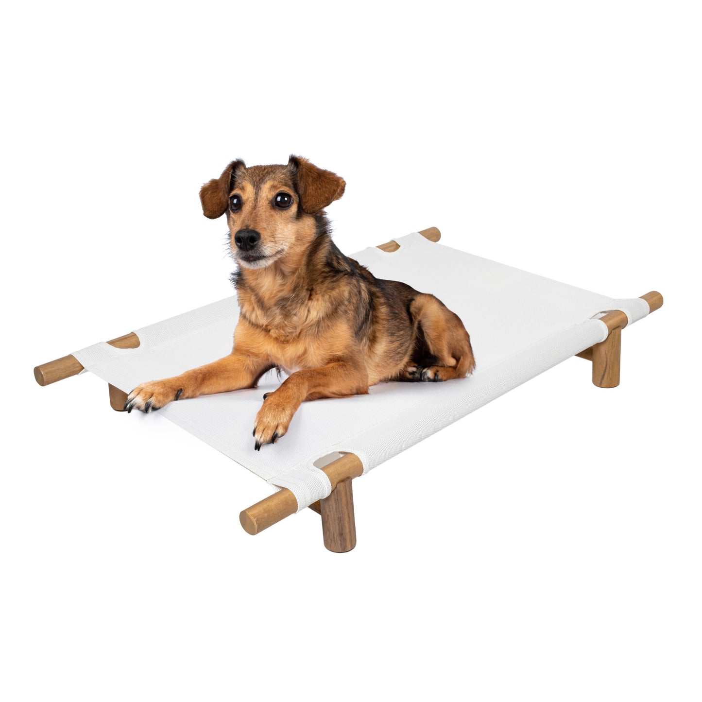 THE LICKER Store DBD5000A Chester 32" Modern Minimalist Wood Frame Elevated Outdoor Dog Bed, Snow/Light Teak